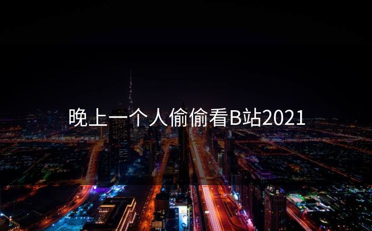 晚上一个人偷偷看B站2021