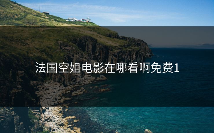法国空姐电影在哪看啊免费1 法国空姐电影在哪看啊免费1