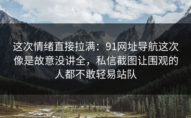这次情绪直接拉满：91网址导航这次像是故意没讲全，私信截图让围观的人都不敢轻易站队